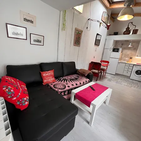 Apartamento Individual 40 Metros Con Estupendo Patio *